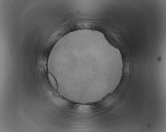 X0000114590332200911301405