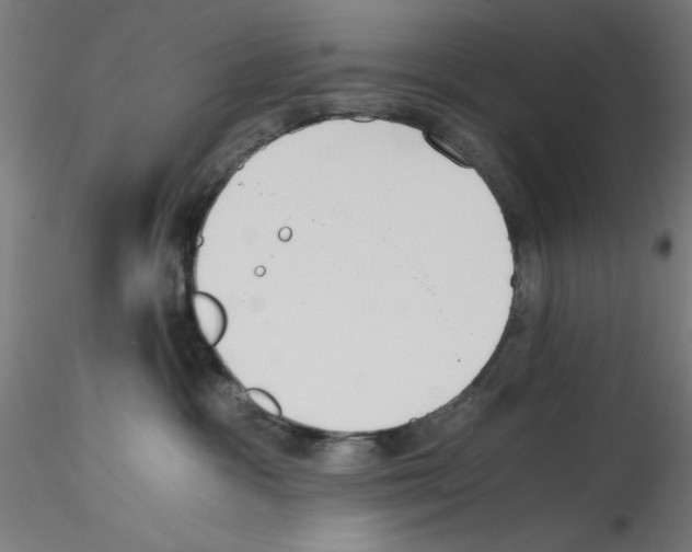 X0000114590333200911301405