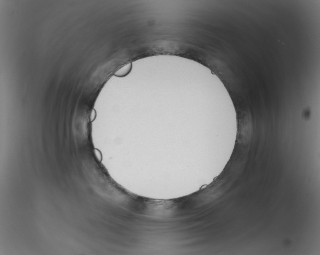 X0000114590334200911301405