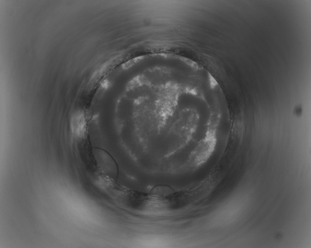X0000114590335200911301405