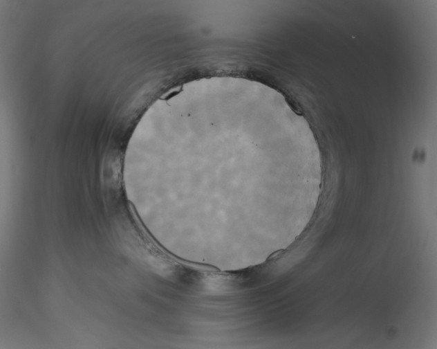 X0000114590336200911301405