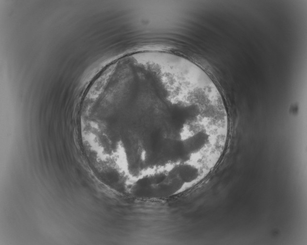 X0000114590337200911301405