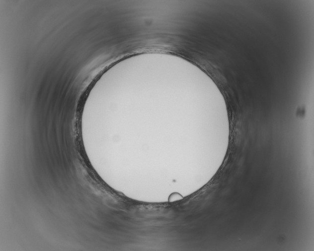 X0000114590338200911301405
