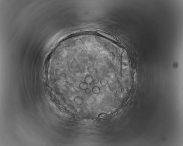 X0000114590339200911301405
