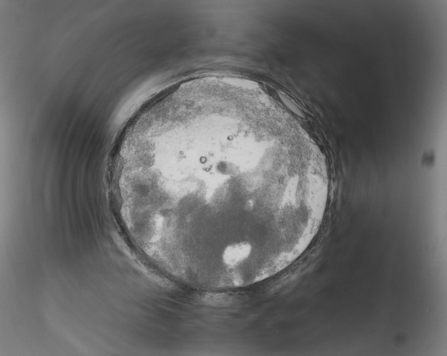 X0000114590341200911301405