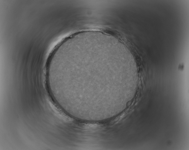 X0000114590342200911301405