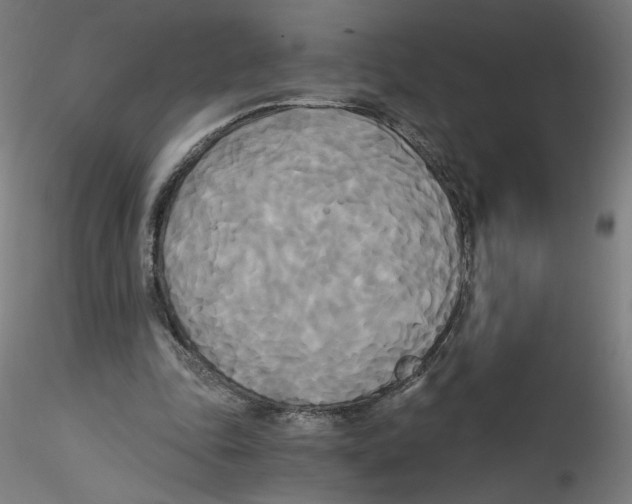 X0000114590343200911301405