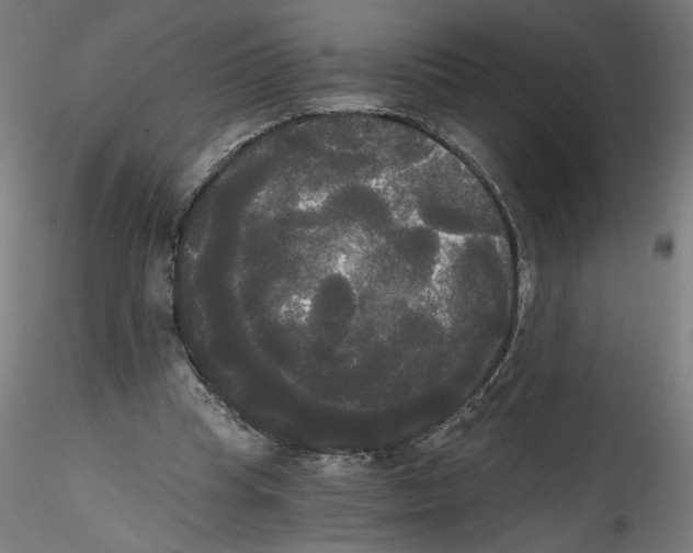 X0000114590345200911301405