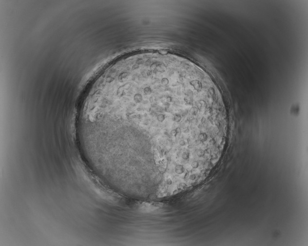 X0000114590346200911301405