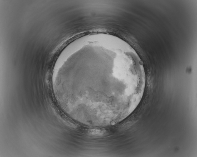 X0000114590347200911301405