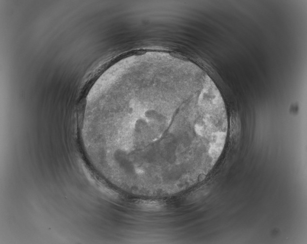 X0000114590349200911301405