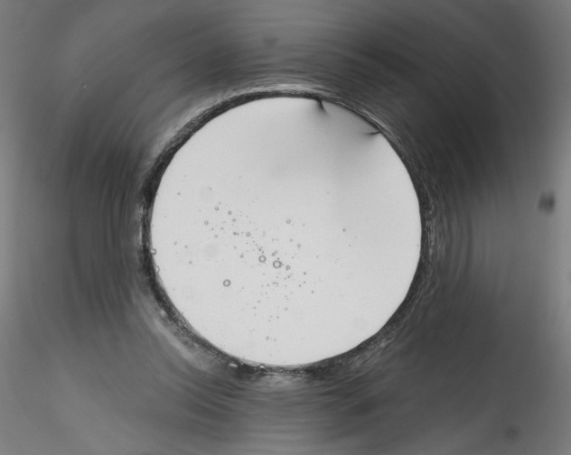 X0000114590350200911301405