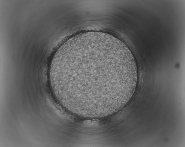 X0000114590354200911301405
