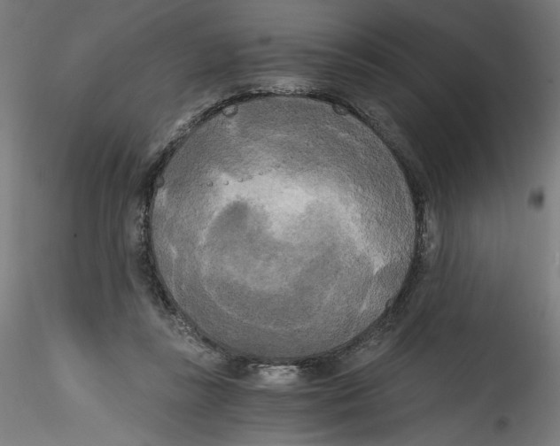 X0000114590355200911301405