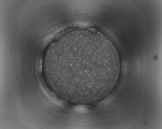 X0000114590358200911301405