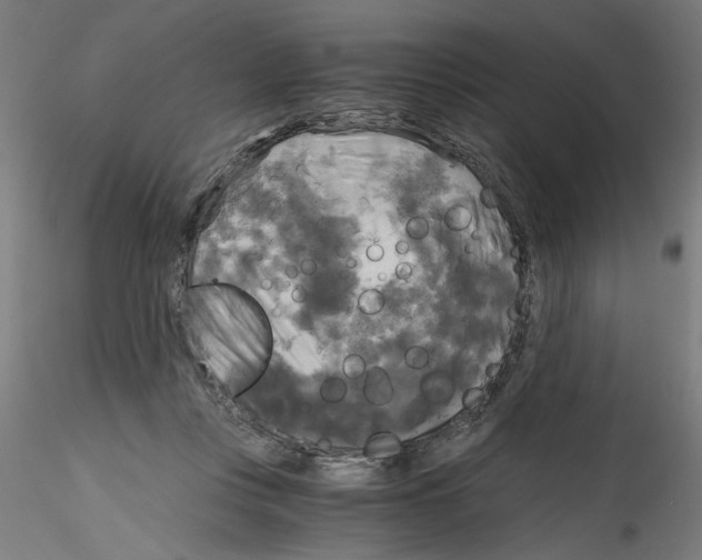 X0000114590359200911301405