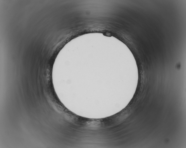 X0000114590362200911301405
