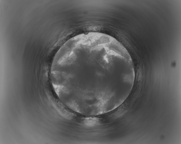 X0000114590363200911301405