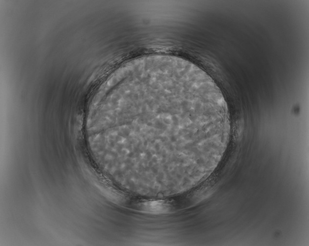 X0000114590365200911301405
