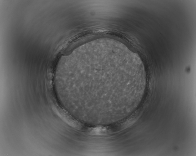 X0000114590366200911301405