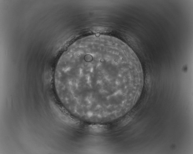 X0000114590367200911301405