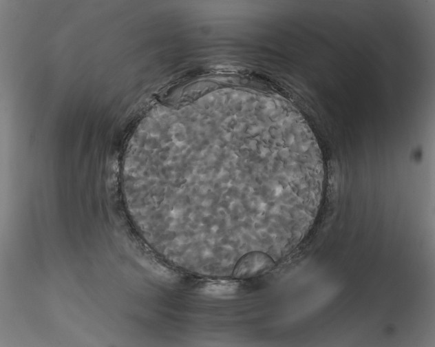 X0000114590369200911301405
