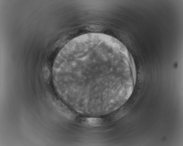 X0000114590371200911301405