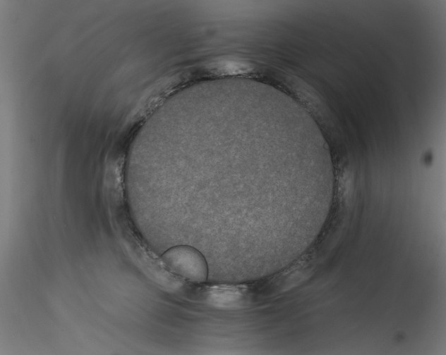 X0000114590373200911301405