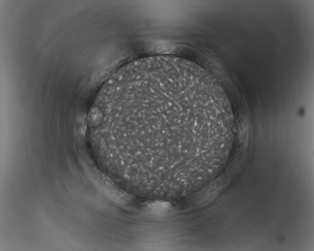 X0000114590374200911301405