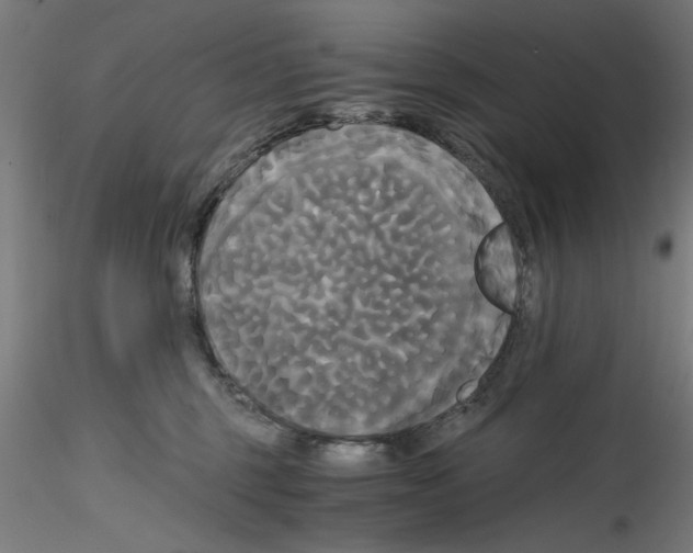 X0000114590375200911301405