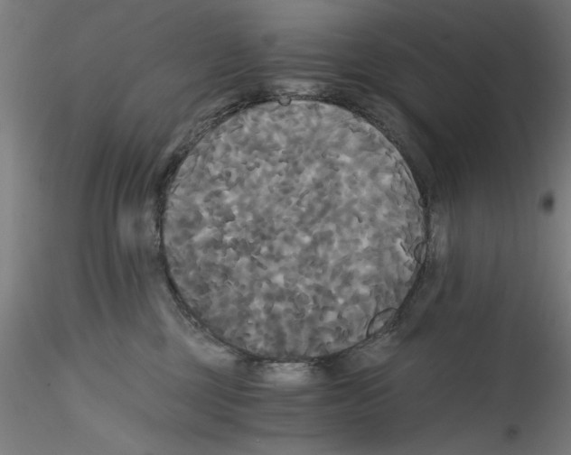 X0000114590377200911301405