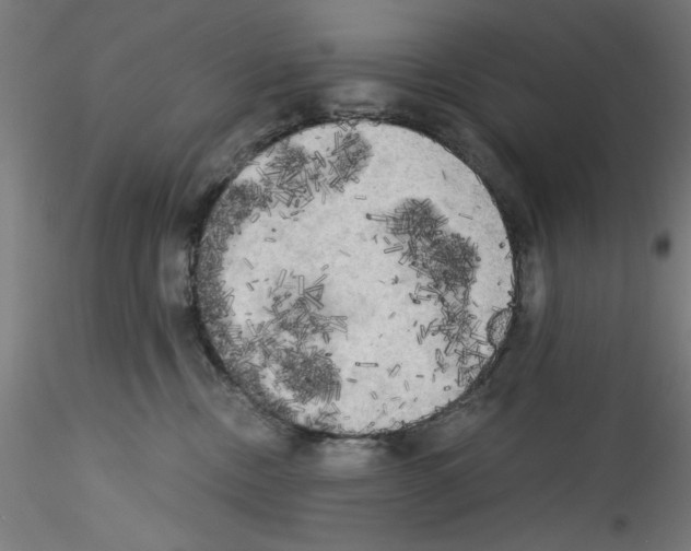 X0000114590378200911301405