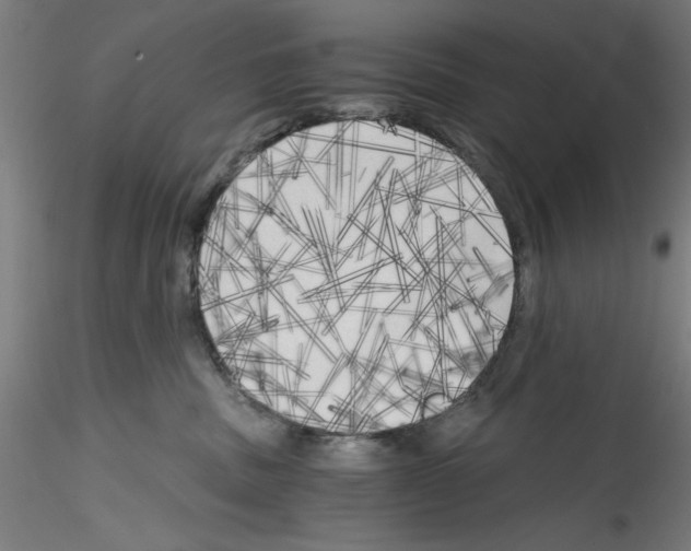 X0000114590379200911301405