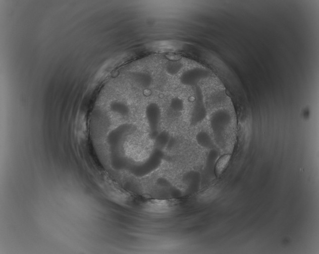 X0000114590381200911301405