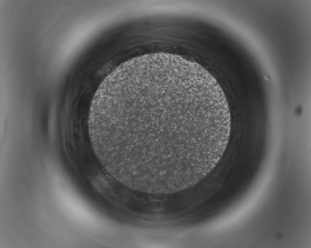 X0000114590382200911301405