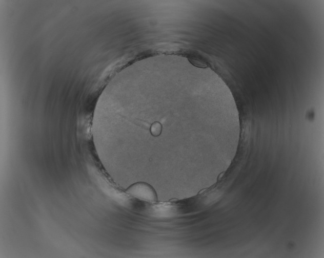 X0000114590383200911301405