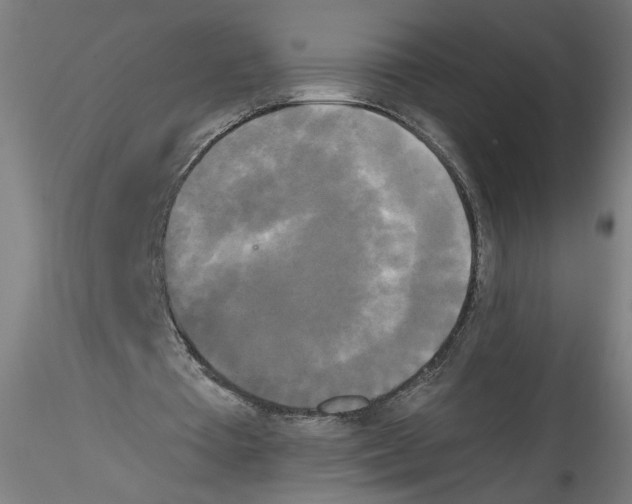 X0000114590385200911301405
