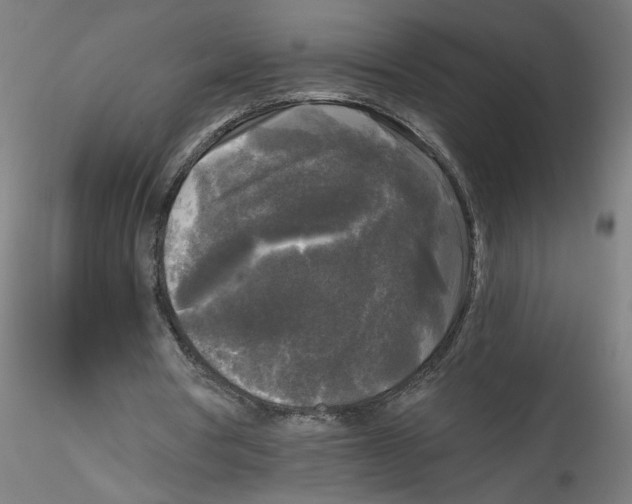 X0000114590386200911301405