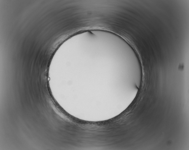 X0000114590389200911301405