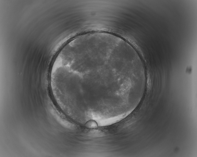 X0000114590390200911301405