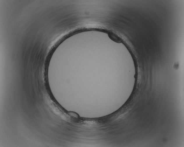 X0000114590391200911301405