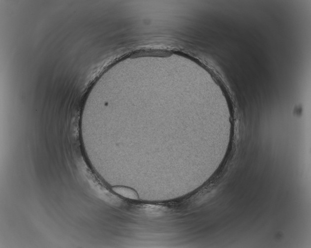 X0000114590393200911301405