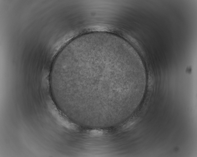 X0000114590394200911301404