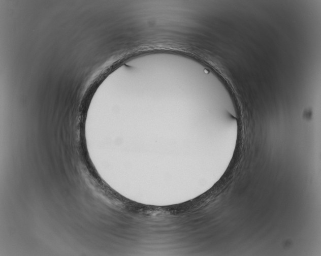 X0000114590395200911301404