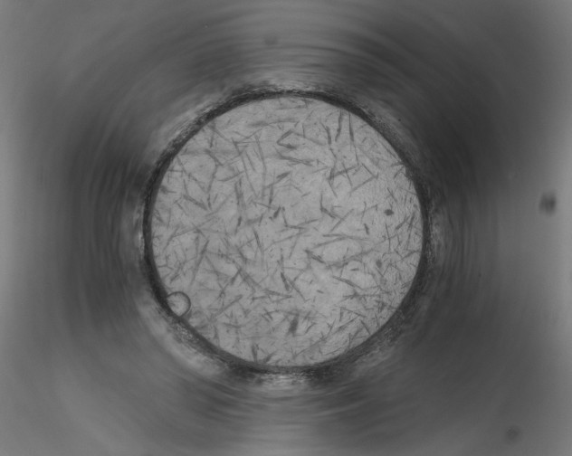 X0000114590398200911301404