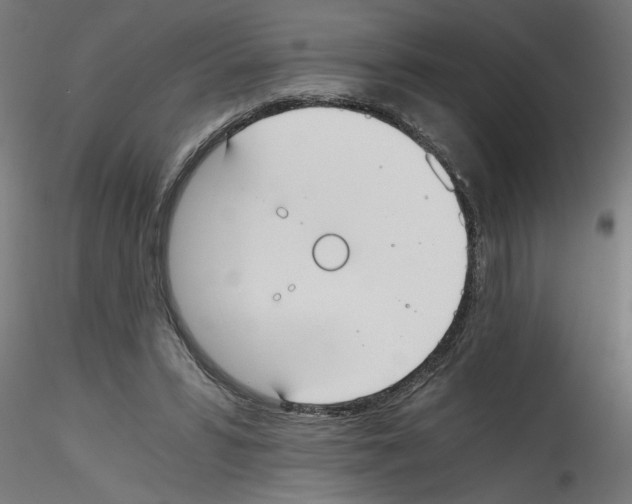 X0000114590399200911301404