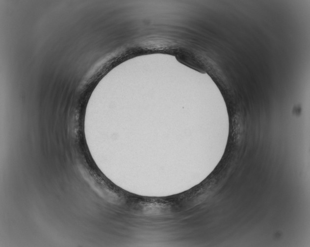 X0000114590400200911301404