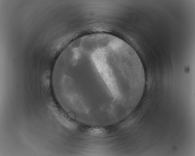 X0000114590402200911301404