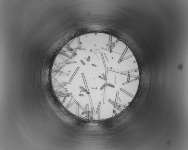 X0000114590406200911301404
