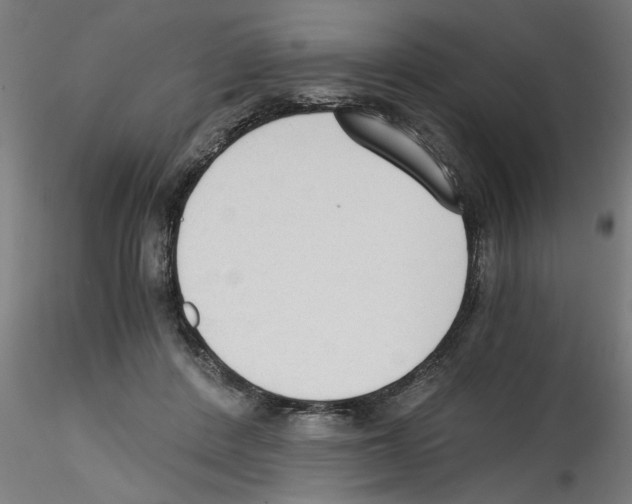 X0000114590408200911301404
